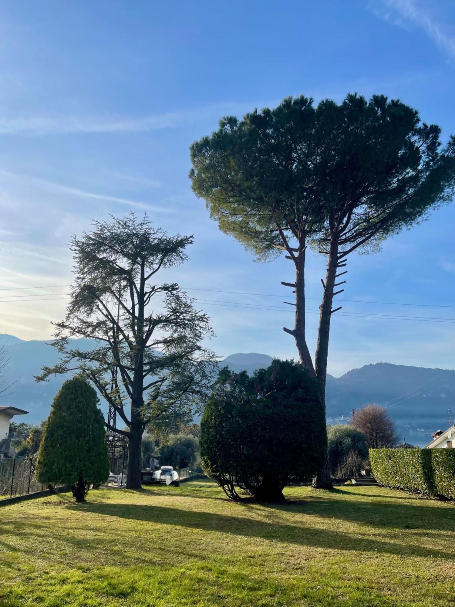 Villa Rosi Lierna Bagian luar foto