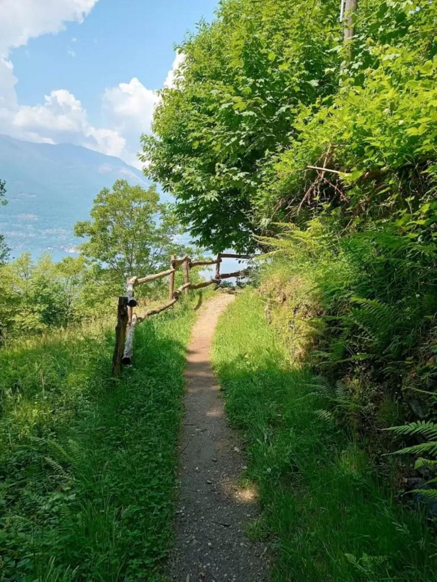 Villa Rosi Lierna Bagian luar foto
